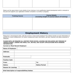 Out Of This World Job Application Form Template In Word And Formats Page Development