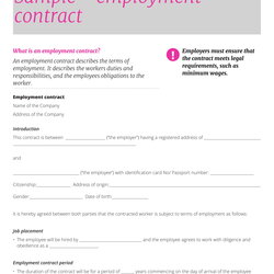 High Quality Examples Of Employment Contract Templates Word Apple Pages Sample Template Example Contracts