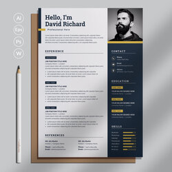 Magnificent Modern Simple Resume Template