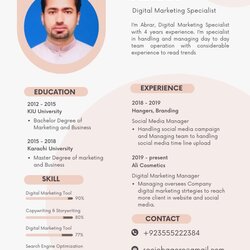 Exceptional Make Professional Resume Or Modern Template By