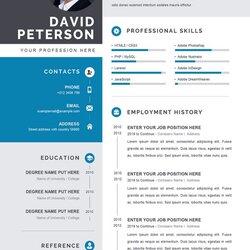 Cool Professional Template In Word Format Editable Vitae Examples