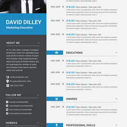 Terrific Free Professional Template Cover Letter For Marketing Executives Curriculum Vitae Executive