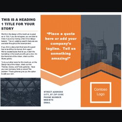 Capital Best Microsoft Word Brochure Templates Design Shack Template