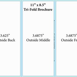 Superior Blank Fold Brochure Template Free Download Of Microsoft Word Booklet Regarding Pamphlet Templates