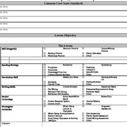 Lesson Plan Template With Embedded Common Core Standards By Alley Original