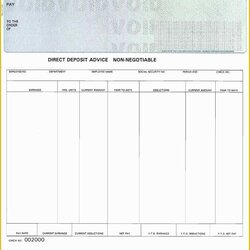 Terrific Free Check Stub Template Of Create Print Out Pay Stubs Paycheck Payroll Checks Invitation