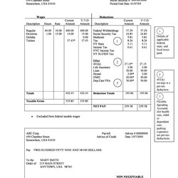 Free Check Stub Template Pay
