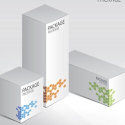 Supreme Free Set Of Vector Elegant Product Packaging Design Templates Graphic Web Use Next