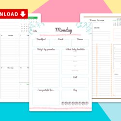 Sublime Printable Weekly Planner Templates Download Contacts