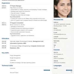 Fantastic Professional Resume Templates Fill In The Blanks Land Job Cubic India Homepage