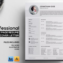 Perfect Professional Single Page Resume By Cart