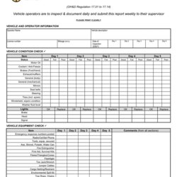 Legit Vehicle Inspection Form In Word And Formats
