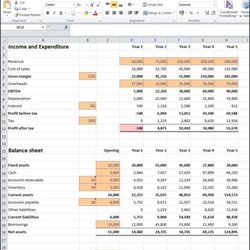 Sublime Financial Projections Template Double Entry Bookkeeping Budgeting