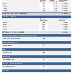 Simple Financial Projections Templates Excel Word Template Scaled