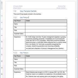 Capital Business Plan Template Free Word Document Professional Ms