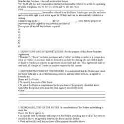 Cool Sole Mandate Agreement Template