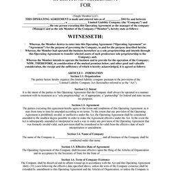 Swell Professional Operating Agreement Templates Template