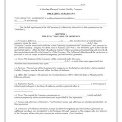 Smashing Professional Operating Agreement Templates Template