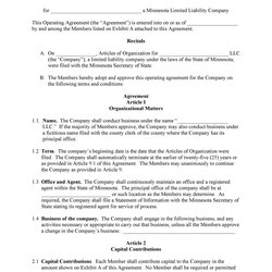 Peerless Professional Operating Agreement Templates Template Lab Sample