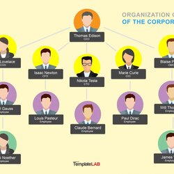 Excellent Organizational Chart Templates Word Excel Creative Tesla Examples Functional