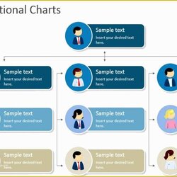 Out Of This World Hierarchy Chart Template Free Hierarchical Organizational Responsibilities Excel