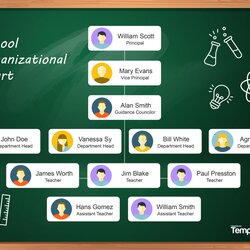 Admirable Organizational Chart Templates Word Excel School Scaled
