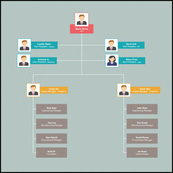 Eminent Organization Chart Template Word Organizational Templates Editable Online And Free To Inside