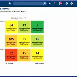 Superior Process Mapping Template Excel Templates Matrix Performance Management Talent Analyses Reports