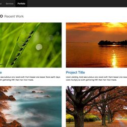 Superb Best Simple Website Templates For Free Download In Bootstrap