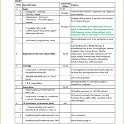 Project Progress Report Template