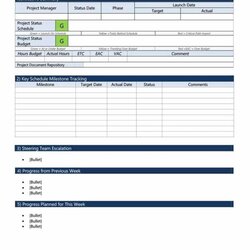 Outstanding Weekly Progress Report Template Project Management Professional Summary February Status Templates