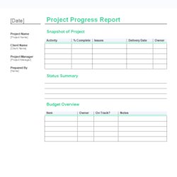 Legit Incredible Project Progress Report Templates Free Download Template Status Sample Excel