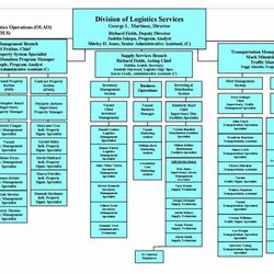 The Highest Quality Org Chart Template Word Beautiful Organization