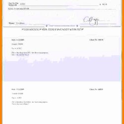 Supreme Free Payroll Checks Template Letter Example Templates Check Of
