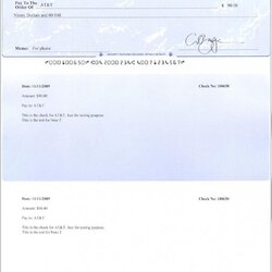 High Quality Payroll Check Template Business Stub Stubs Printable Pay Templates Blank Printing Software