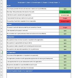 Excel Survey Results Template Templates Formidable Highest Quality