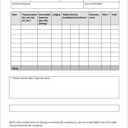 Champion Expense Report Template Google Docs Detailed Business Spreadsheet Templates Form Excel