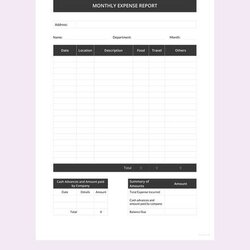 Monthly Expense Report Template Free Google Docs Sheets