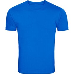 Champion Blue Shirt Template Best Plain Shirts Neck Round Blank Royal Tee Colored Sample Back Basic Men Clip