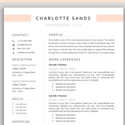 Preeminent Template Resume Word Professional