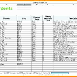 Magnificent Small Business Expense Tracking Excel Related Inspirational Spreadsheet Bud Template Of