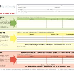 Free Action Plan Templates Corrective Emergency Business Fearsome Operations Template