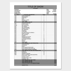 Film Budget Template For Excel Sheet Format