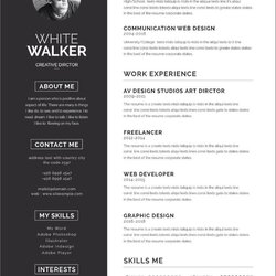 Magnificent Free Microsoft Word Resume Templates To Download
