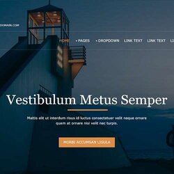 Marvelous Best Free Responsive Website Templates For Building Your