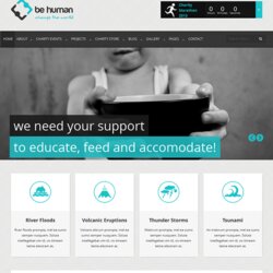 Superb Website Templates With
