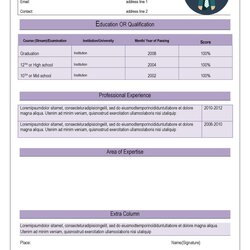 Excellent Great Curriculum Vitae Templates Examples Template