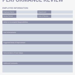 Splendid Light Employee Performance Review Template Simple Templates Report