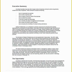 Great Business Plan Template Free Download Of Word Excel Tom December Posted Comments