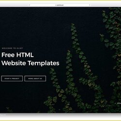 Magnificent Free Simple Templates Of Best Page Website Web Code Responsive Script Les